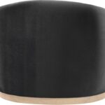 Gustavo Velvet Upholstered Accent Chair