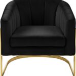 Carter Velvet Upholstered Accent Chair