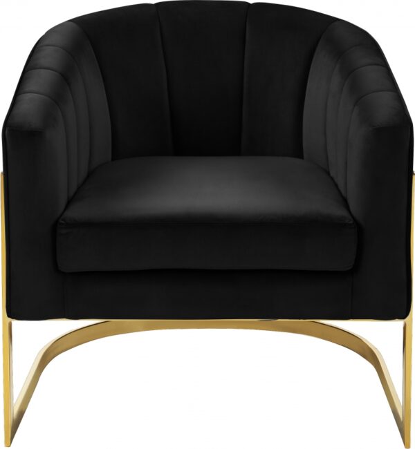 Carter Velvet Upholstered Accent Chair