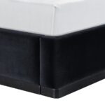 Rava Velvet Upholstered Twin Bed
