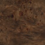 Vassa Burl Veneer End / Side Table