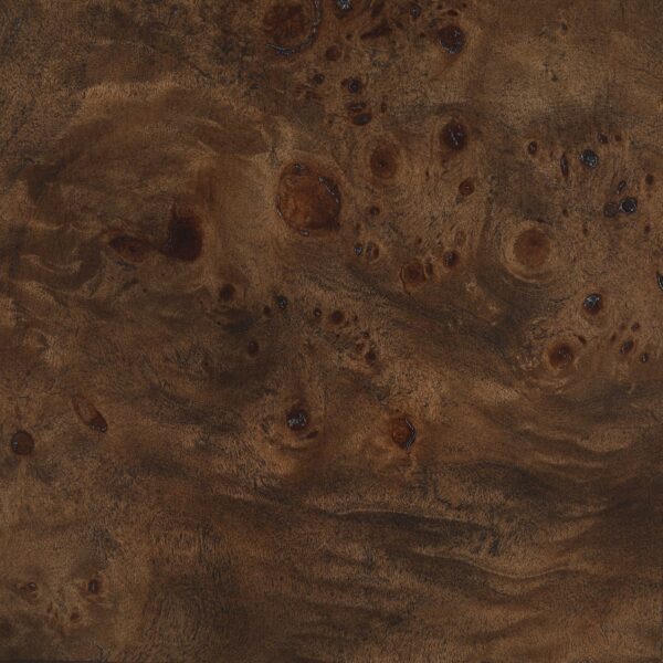 Vassa Burl Veneer End / Side Table