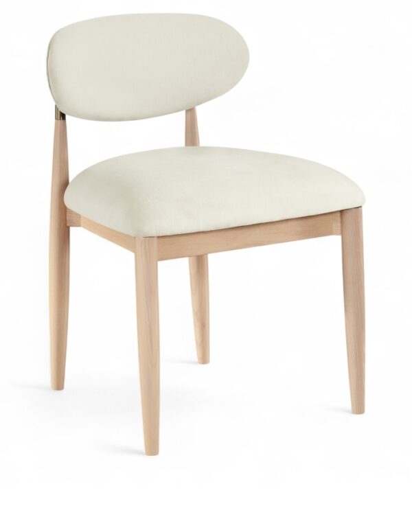 Riccio Performance Fabric Upholstered Dining Side Chair