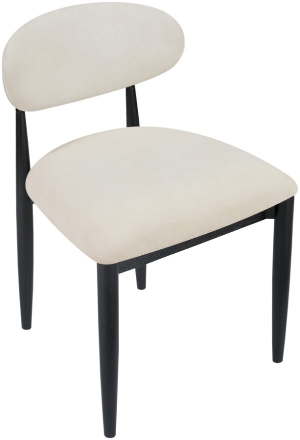 Riccio Performance Fabric Upholstered Dining Side Chair