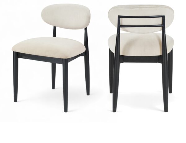 Riccio Performance Fabric Upholstered Dining Side Chair