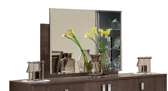 Platinum Mirror Silver Birch