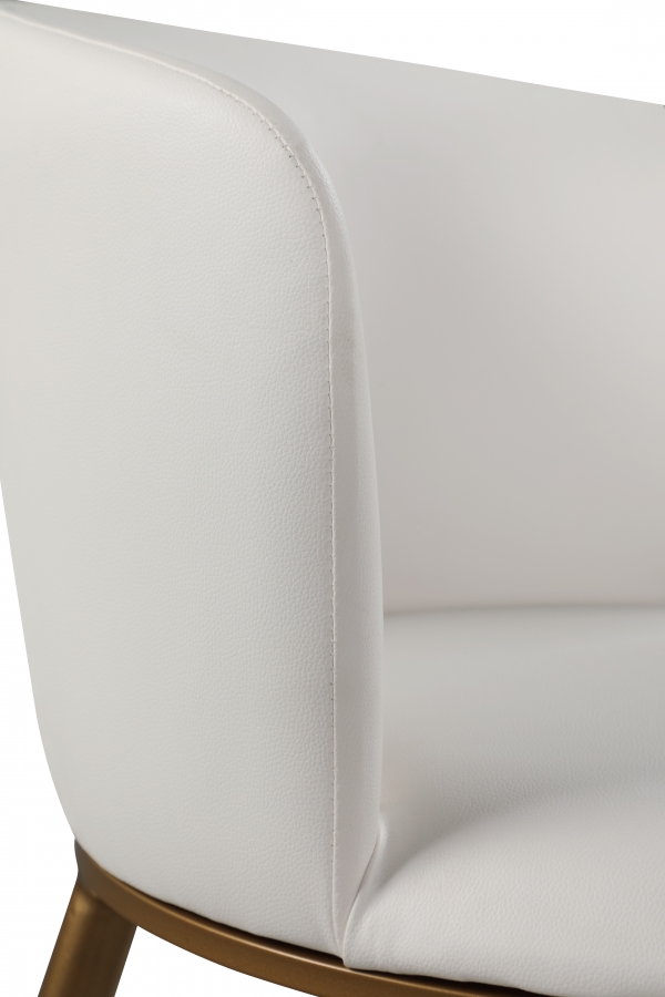 Skylar Vegan Leather Upholstered Dining Chair