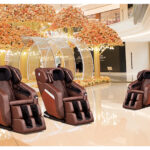 AM 19563 Massage Chair Gallery 3