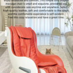 AM19562 Massage Chair Gallery 1