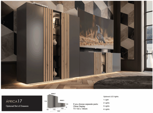 Africa 17 Gallery 2