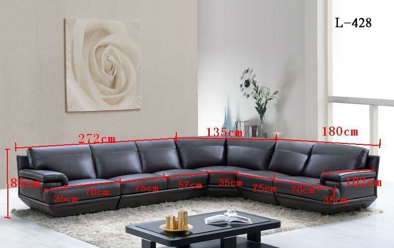 428 Sectional Gallery 1