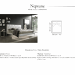 Neptune Gallery 2