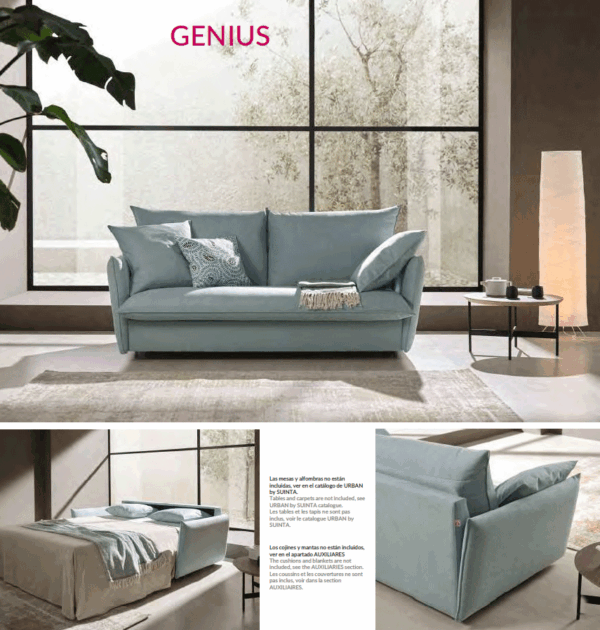 Genius Sofa Bed Gallery 2