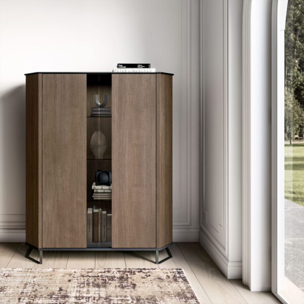 Hexagon 2 Door Cabinet Gallery 1
