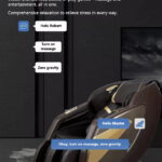Massage Chair KJ7617 Gallery 1