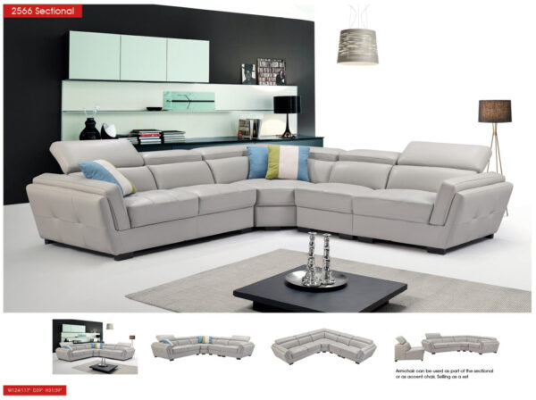 2566 Sectional Gallery 1